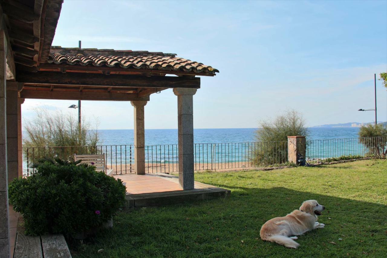Ancora Vella Villa Sant Antoni De Calonge Exteriör bild